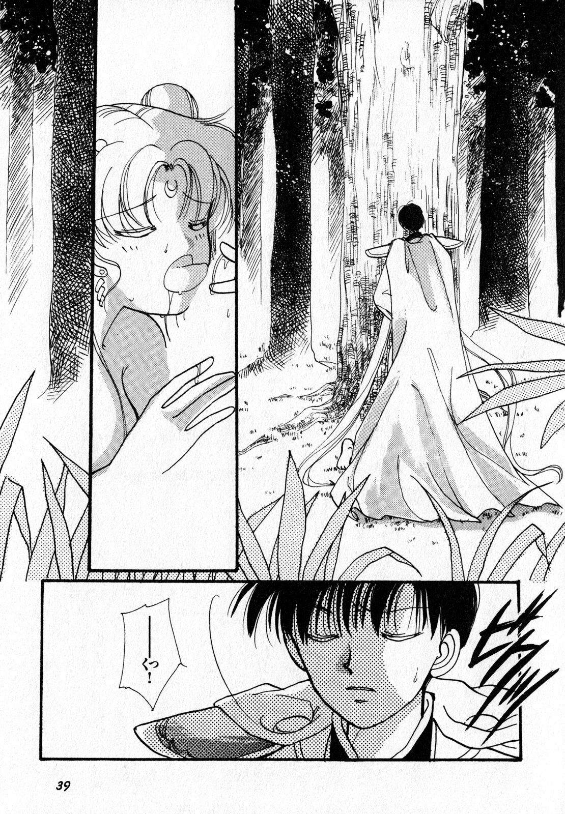 [Anthology] Lunatic Party 7 (Sailor Moon) page 40 full