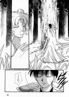 [Anthology] Lunatic Party 7 (Sailor Moon) - page 40