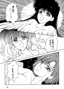 [Anthology] Lunatic Party 5 (Bishoujo Senshi Sailor Moon) - page 28