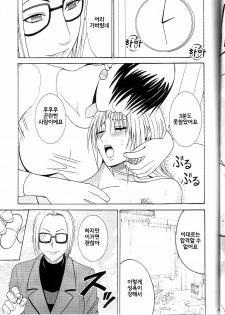 [Crimson Comics (Carmine)] Pride no Takai Onna (Black Cat)(korean) - page 28