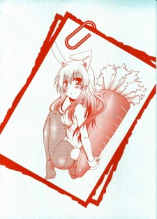 [Kurosaki Kotora] Koneko Aiiku Diary - page 4