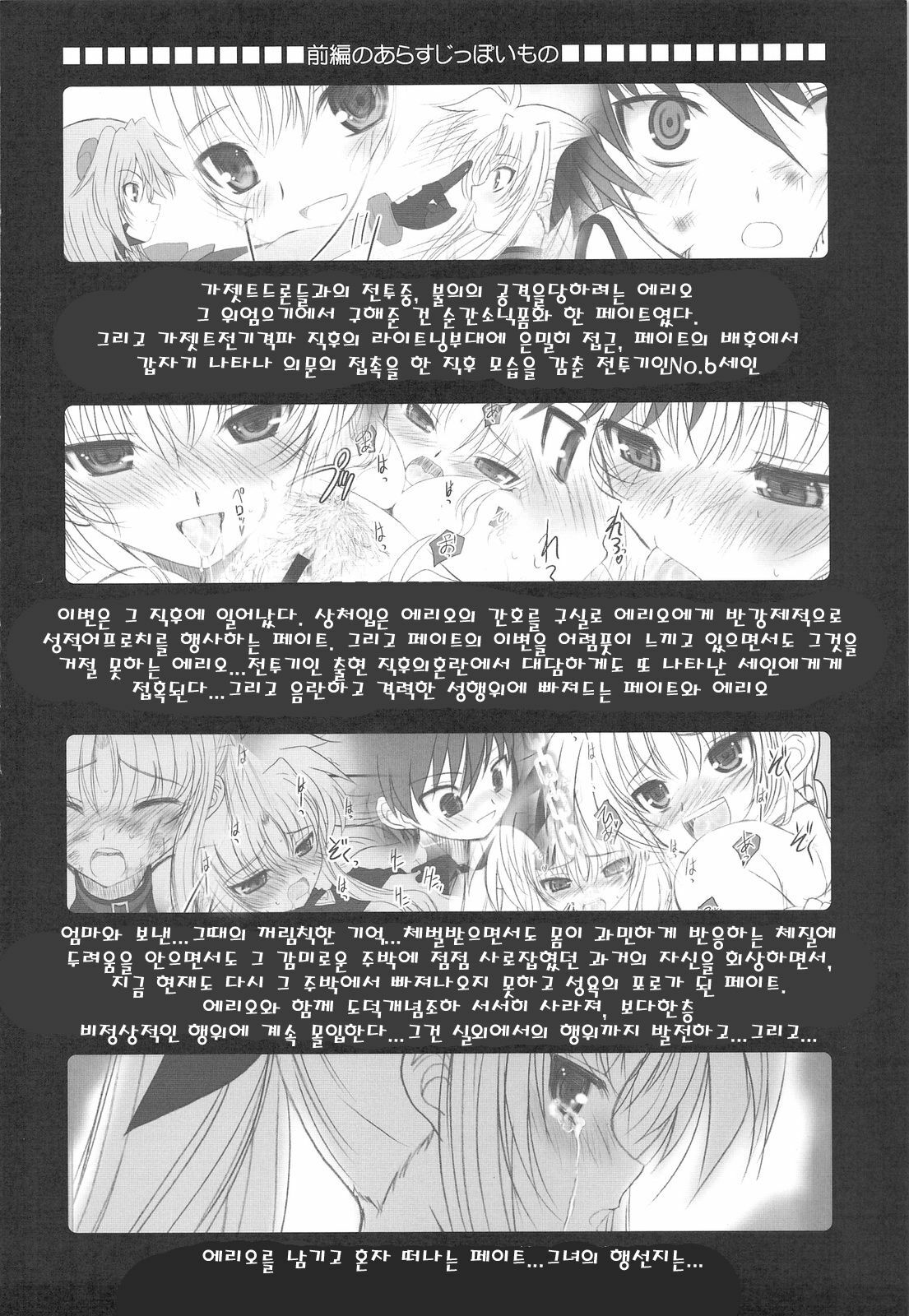 (C75) [Dieppe Factory (Alpine)] FATE FIRE WITH FIRE 2 (Mahou Shoujo Lyrical Nanoha)(korean) page 12 full