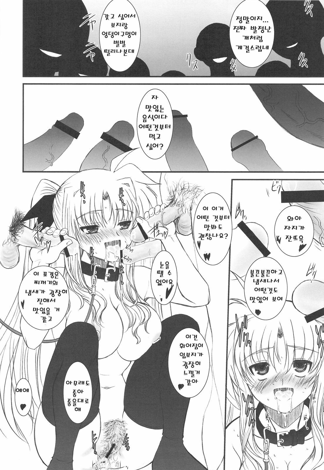 (C75) [Dieppe Factory (Alpine)] FATE FIRE WITH FIRE 2 (Mahou Shoujo Lyrical Nanoha)(korean) page 15 full