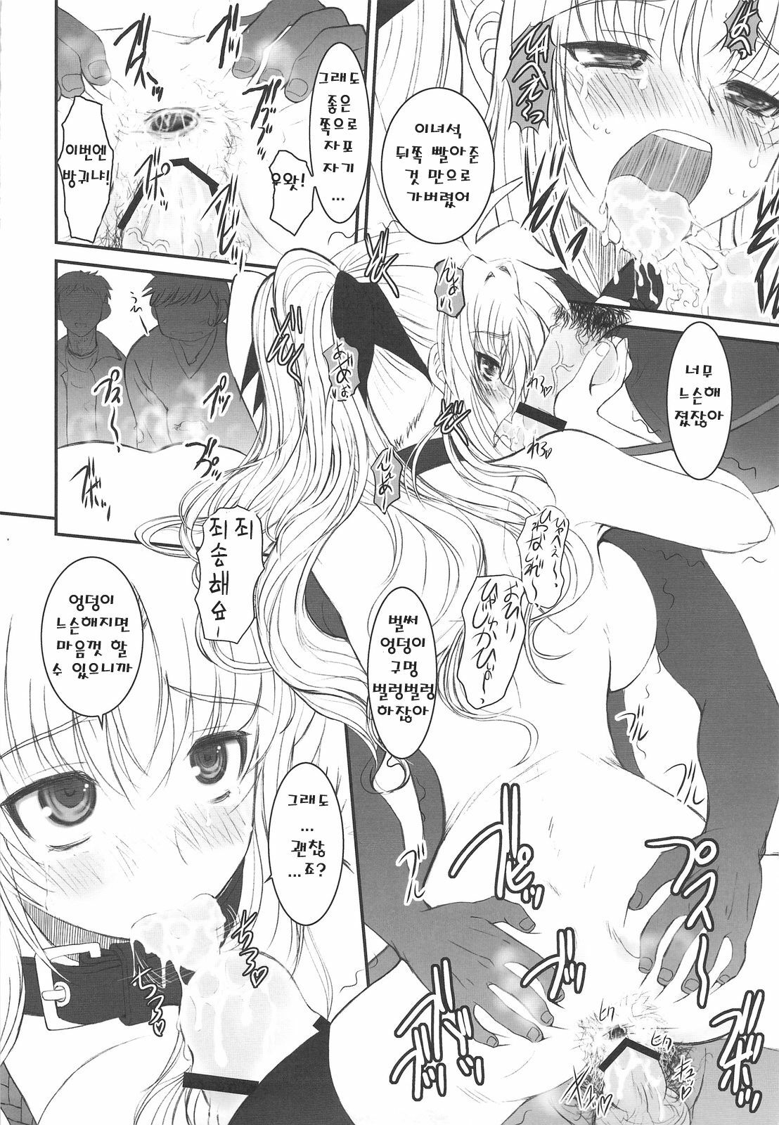 (C75) [Dieppe Factory (Alpine)] FATE FIRE WITH FIRE 2 (Mahou Shoujo Lyrical Nanoha)(korean) page 24 full