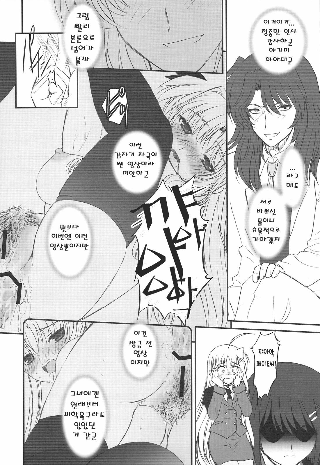 (C75) [Dieppe Factory (Alpine)] FATE FIRE WITH FIRE 2 (Mahou Shoujo Lyrical Nanoha)(korean) page 30 full
