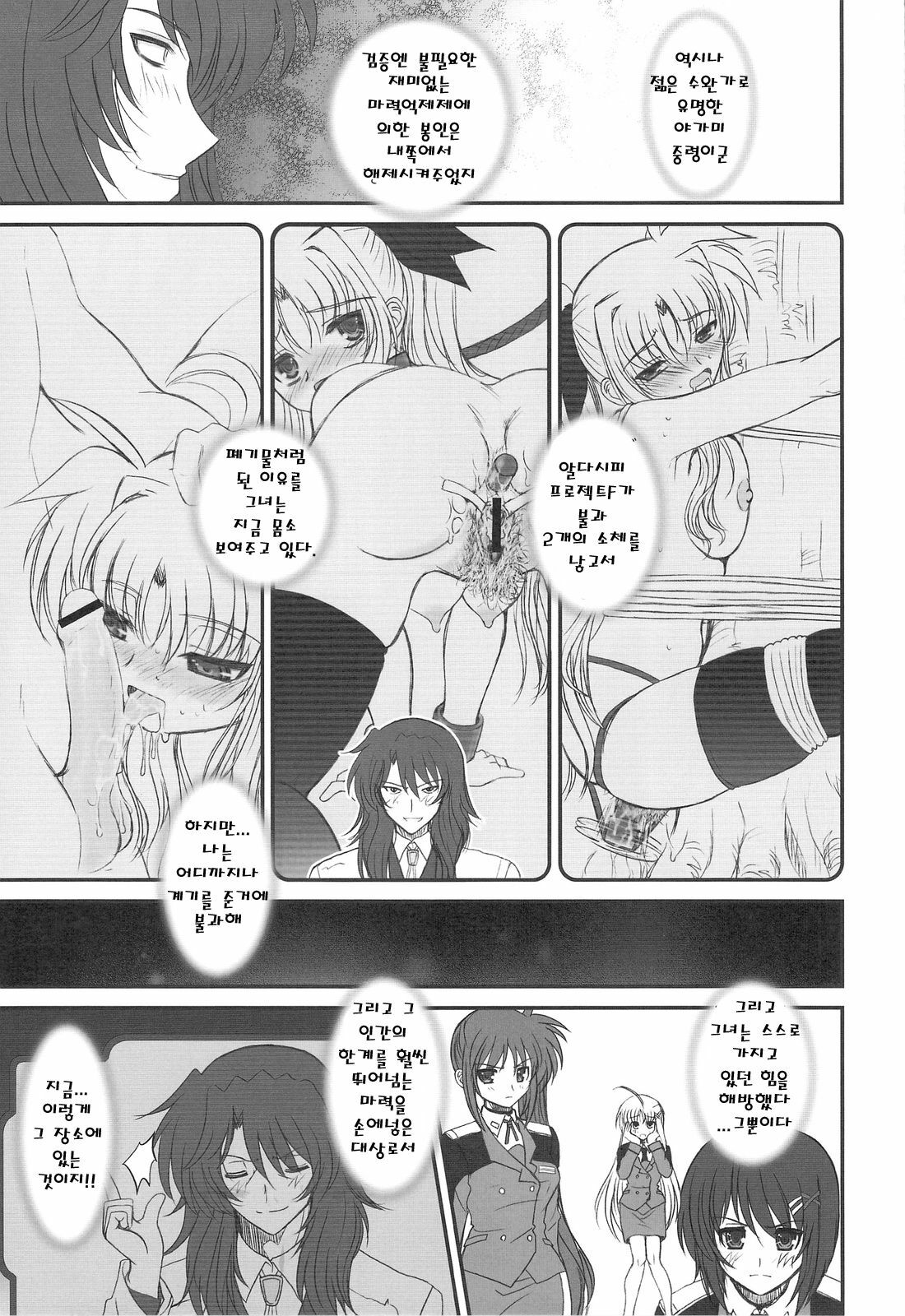 (C75) [Dieppe Factory (Alpine)] FATE FIRE WITH FIRE 2 (Mahou Shoujo Lyrical Nanoha)(korean) page 33 full