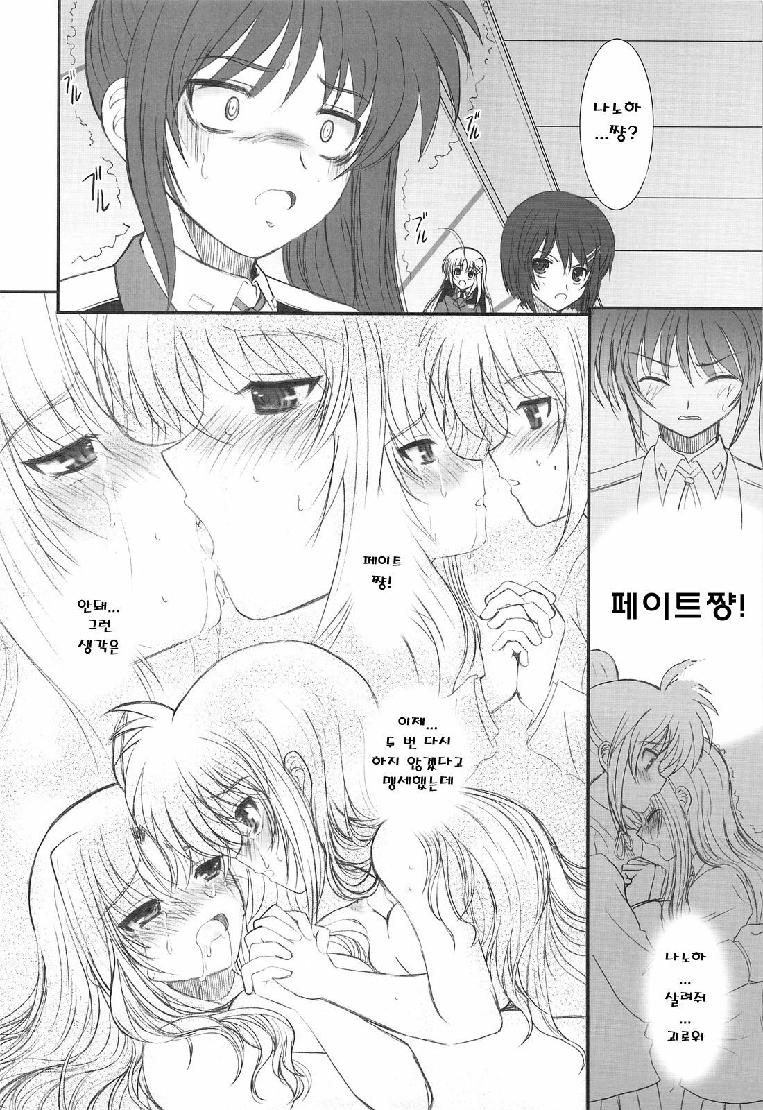 (C75) [Dieppe Factory (Alpine)] FATE FIRE WITH FIRE 2 (Mahou Shoujo Lyrical Nanoha)(korean) page 4 full