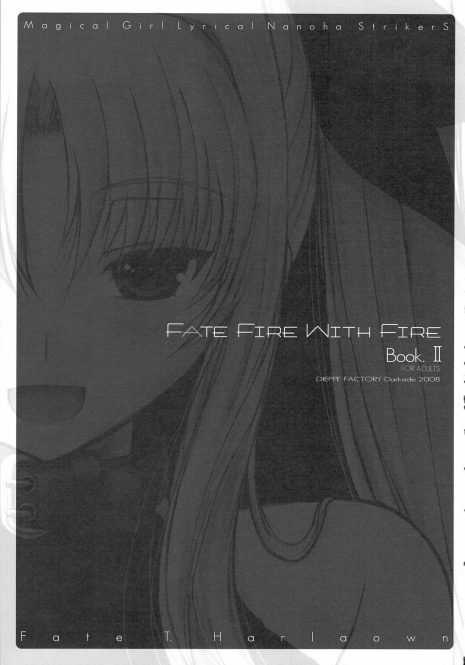 (C75) [Dieppe Factory (Alpine)] FATE FIRE WITH FIRE 2 (Mahou Shoujo Lyrical Nanoha)(korean)