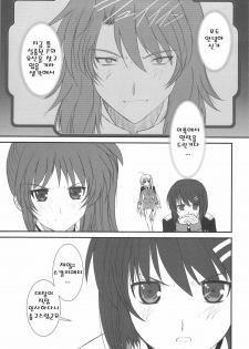 (C75) [Dieppe Factory (Alpine)] FATE FIRE WITH FIRE 2 (Mahou Shoujo Lyrical Nanoha)(korean) - page 29