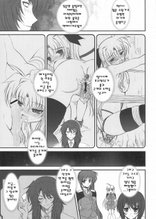 (C75) [Dieppe Factory (Alpine)] FATE FIRE WITH FIRE 2 (Mahou Shoujo Lyrical Nanoha)(korean) - page 33