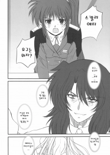(C75) [Dieppe Factory (Alpine)] FATE FIRE WITH FIRE 2 (Mahou Shoujo Lyrical Nanoha)(korean) - page 6