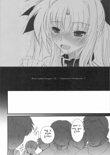 (C75) [Dieppe Factory (Alpine)] FATE FIRE WITH FIRE 2 (Mahou Shoujo Lyrical Nanoha)(korean) - page 8