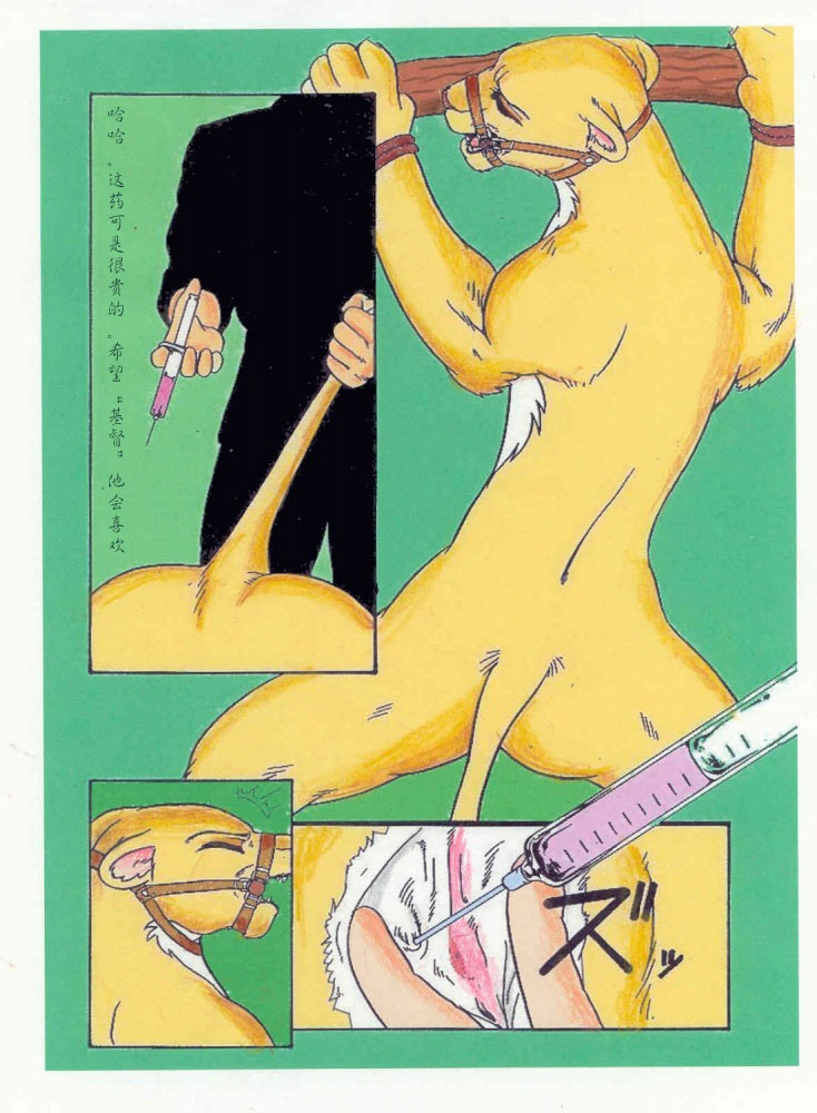 the lion king(chinese) page 7 full
