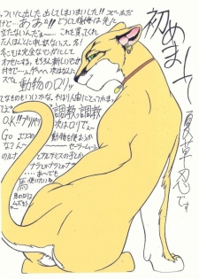 the lion king(chinese) - page 28