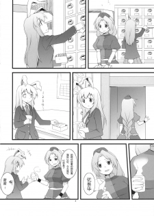 (Reisensai) [Umenomi Gahou (Umekiti)] Lunar Strain (Touhou Project) [Chinese] [喵玉汉化] - page 4