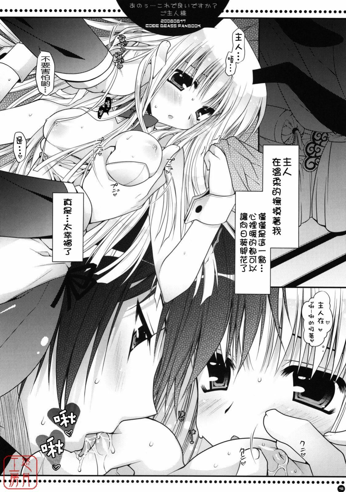 (C74) [PINK (Araiguma)] Anou... korede ii desu ka? Goshujin-sama (Code Geass: Lelouch of the Rebellion) [Chinese] [悠月工房] page 17 full