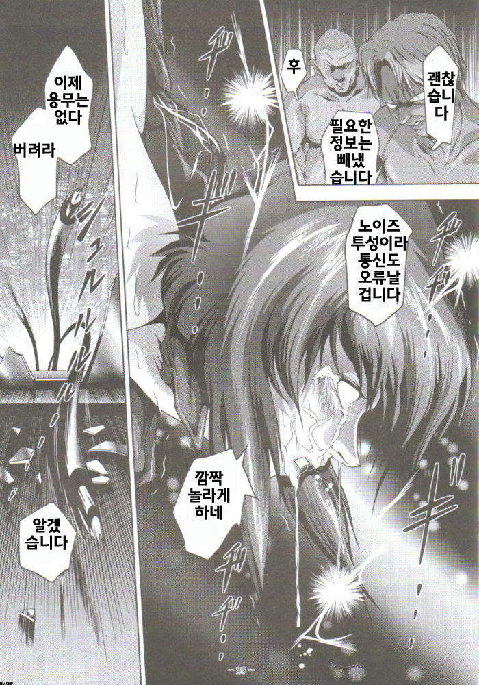 [Akiyama Production (Mikazuki Shikou)] Dennou Shokei | 전뇌처형 (Ghost in the Shell) [Korean] [대왕] page 24 full