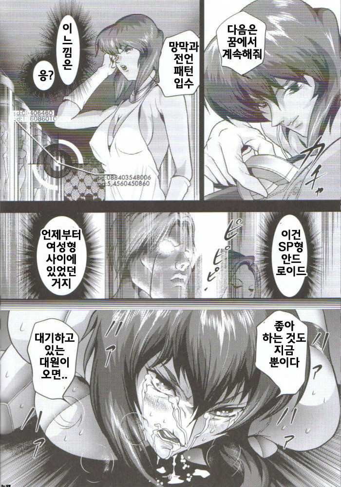 [Akiyama Production (Mikazuki Shikou)] Dennou Shokei | 전뇌처형 (Ghost in the Shell) [Korean] [대왕] page 5 full