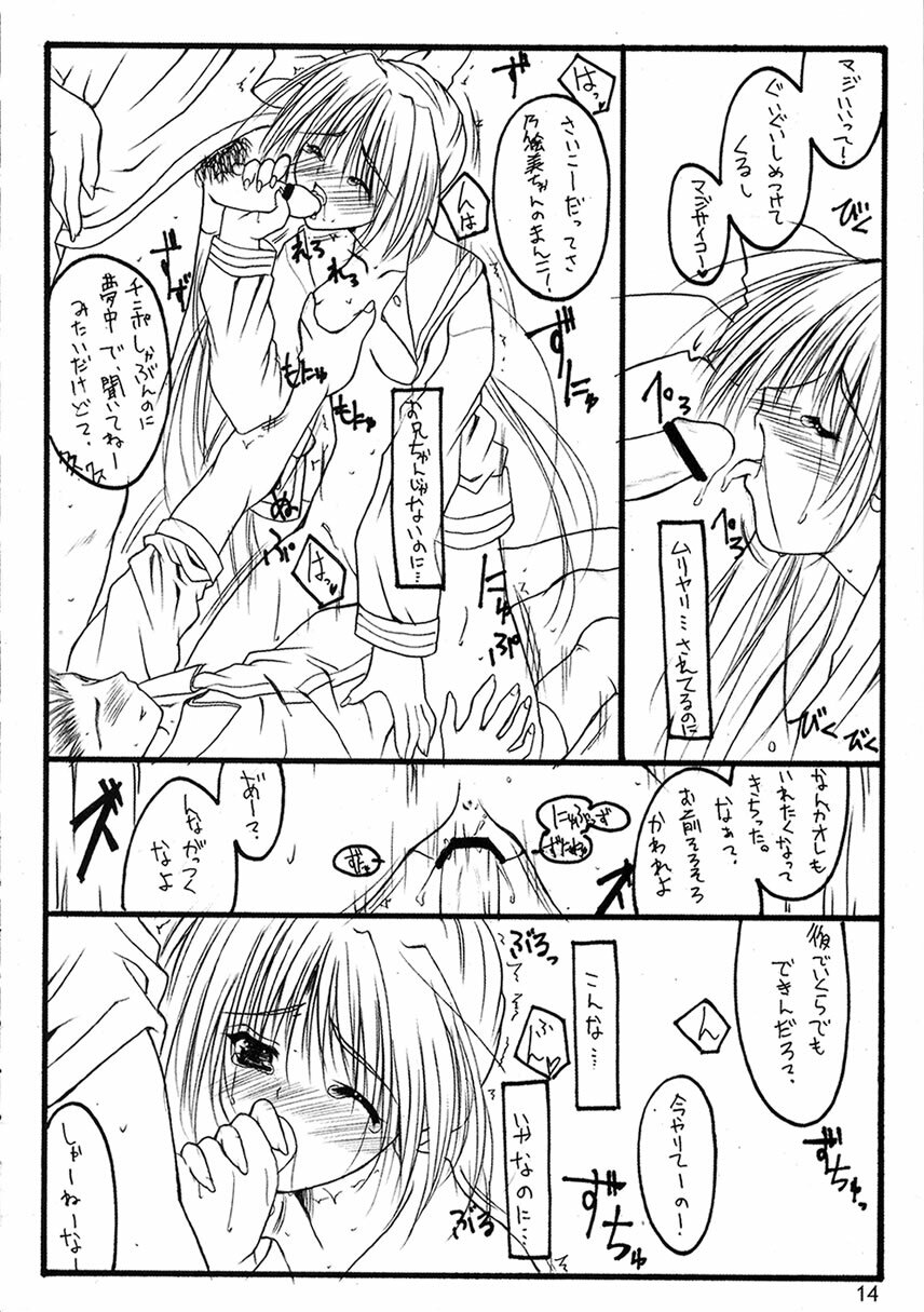 (C63) [THE FLYERS (Naruse Mamoru)] -Extra- (With You ~Mitsumete Itai~) page 13 full