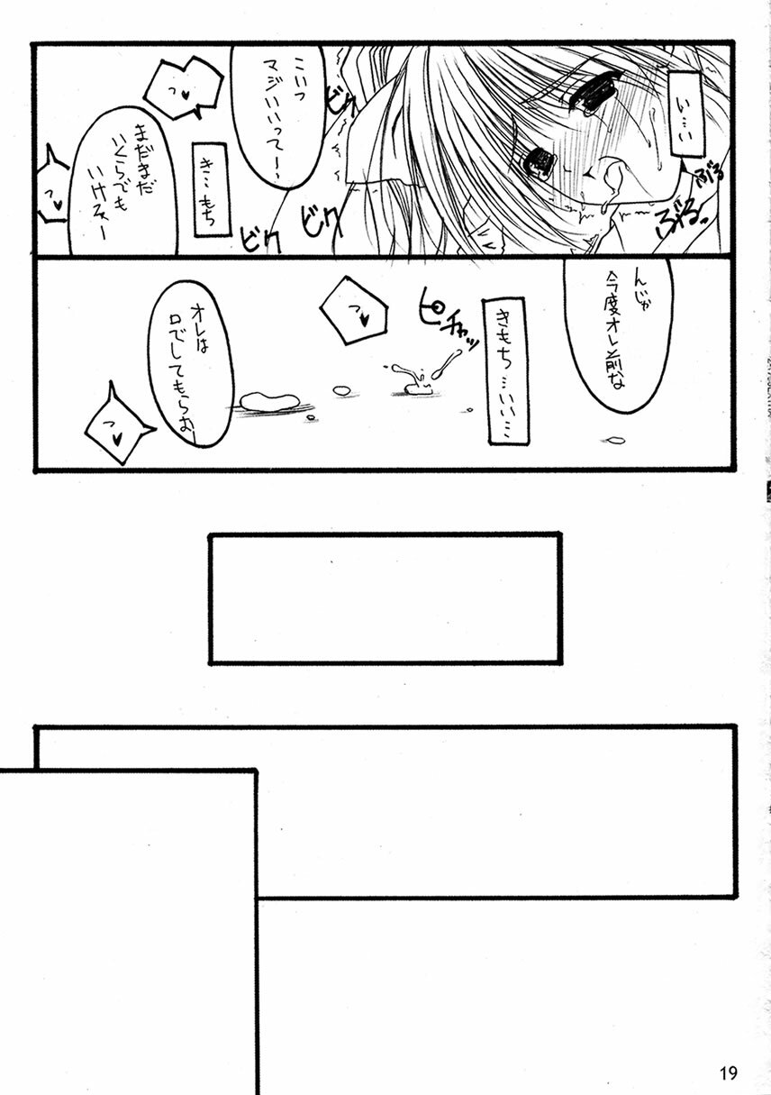 (C63) [THE FLYERS (Naruse Mamoru)] -Extra- (With You ~Mitsumete Itai~) page 18 full