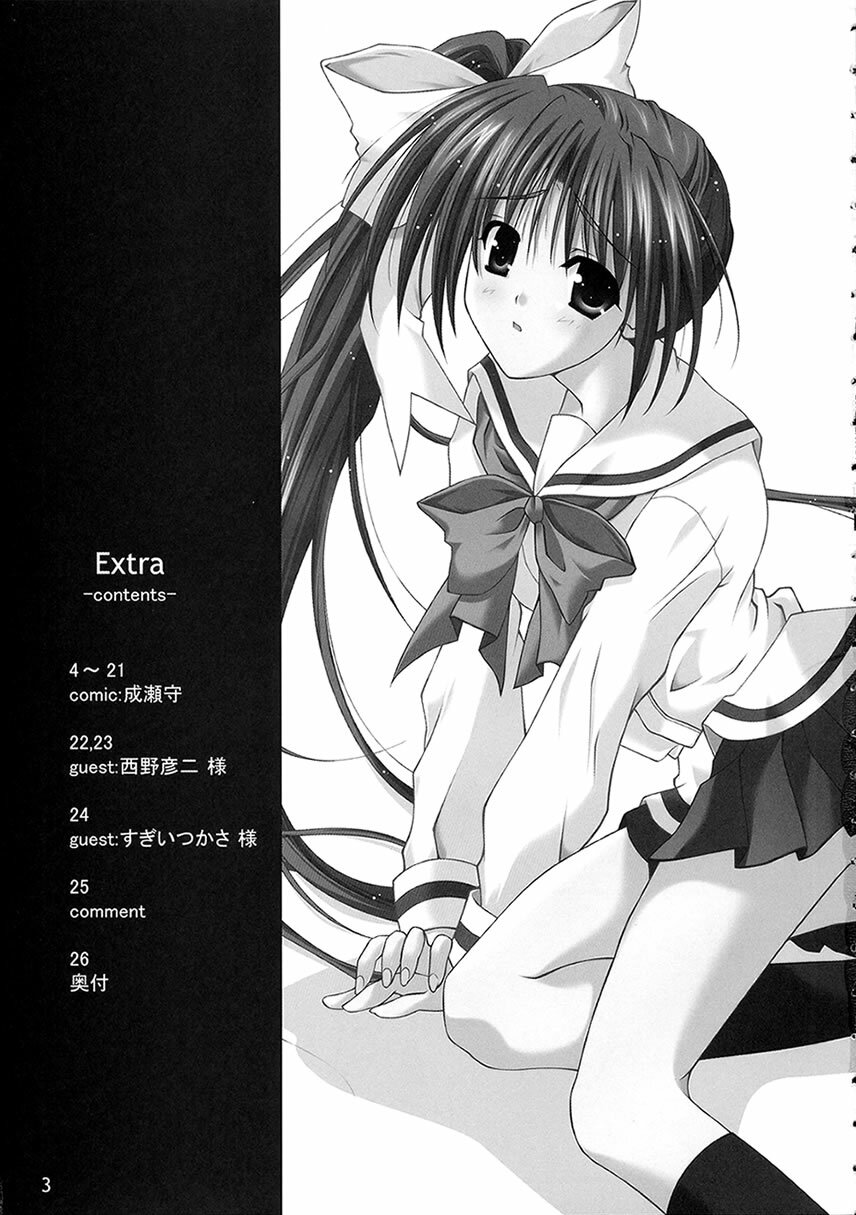 (C63) [THE FLYERS (Naruse Mamoru)] -Extra- (With You ~Mitsumete Itai~) page 2 full
