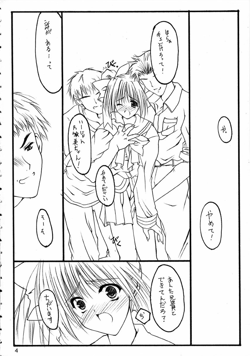 (C63) [THE FLYERS (Naruse Mamoru)] -Extra- (With You ~Mitsumete Itai~) page 3 full