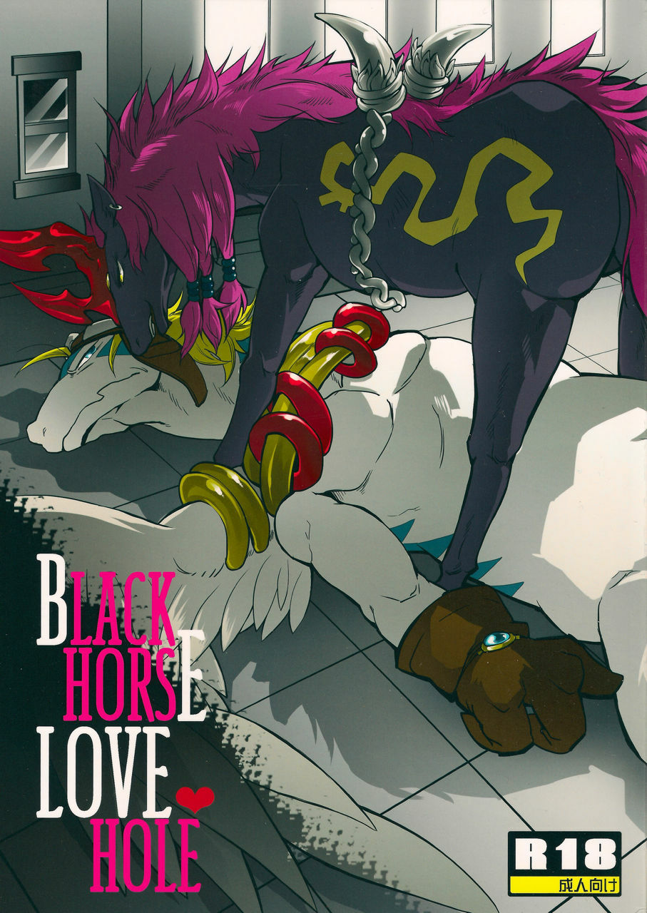 (C80) [Kimidori (Various)] Black Horse Love Hole (Legendz: Tale of the Dragon Kings) page 1 full