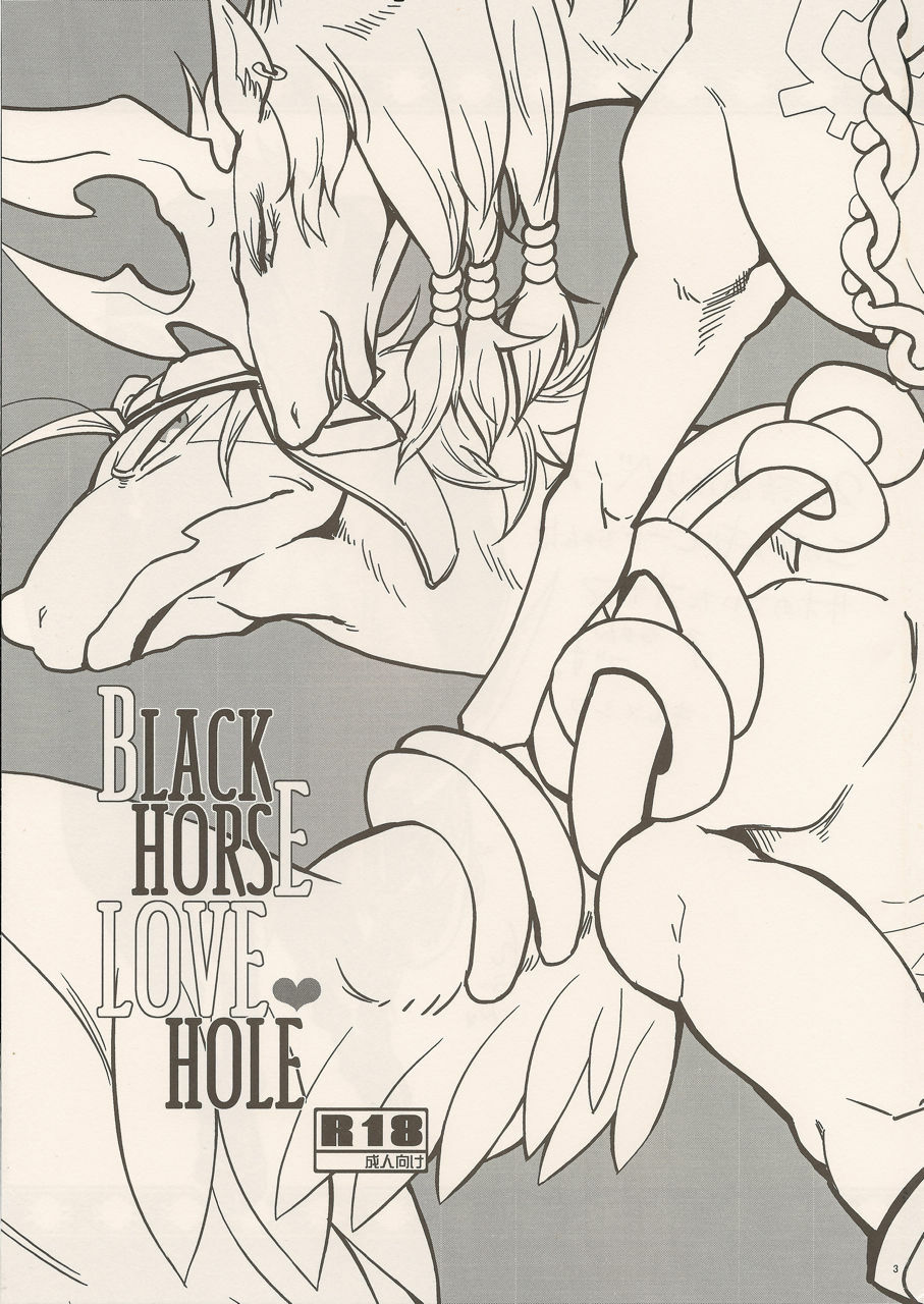 (C80) [Kimidori (Various)] Black Horse Love Hole (Legendz: Tale of the Dragon Kings) page 2 full
