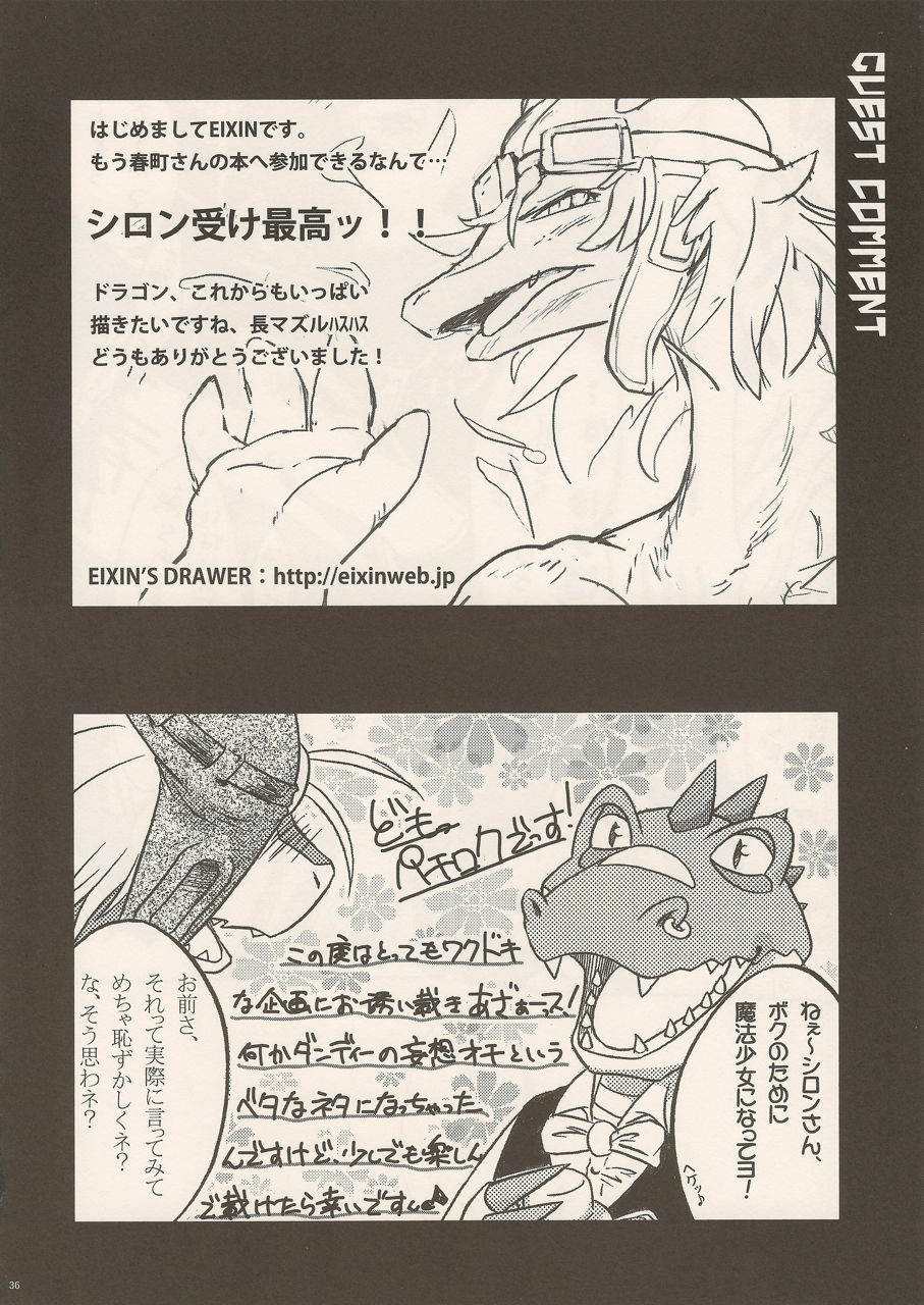 (C80) [Kimidori (Various)] Black Horse Love Hole (Legendz: Tale of the Dragon Kings) page 35 full