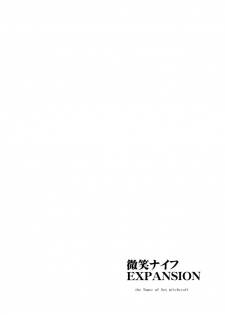 (C80) [PARANOIA CAT (Fujiwara Shunichi)] Touhou Ukiyo Emaki Bishou Knife EXPANSION | Smiling Knife EXPANSION (Touhou Project) [English] [desudesu] - page 28