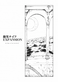 (C80) [PARANOIA CAT (Fujiwara Shunichi)] Touhou Ukiyo Emaki Bishou Knife EXPANSION | Smiling Knife EXPANSION (Touhou Project) [English] [desudesu] - page 3