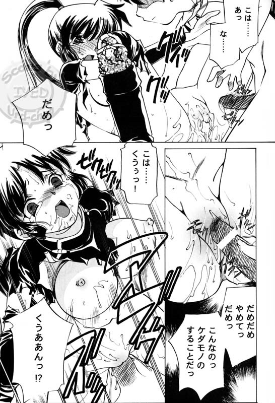 (C71) [Applesauce (Sada Ko-ji)] Taijiya Senki 3 VS Kaze (Inuyasha) page 12 full