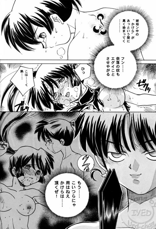 (C71) [Applesauce (Sada Ko-ji)] Taijiya Senki 3 VS Kaze (Inuyasha) page 17 full
