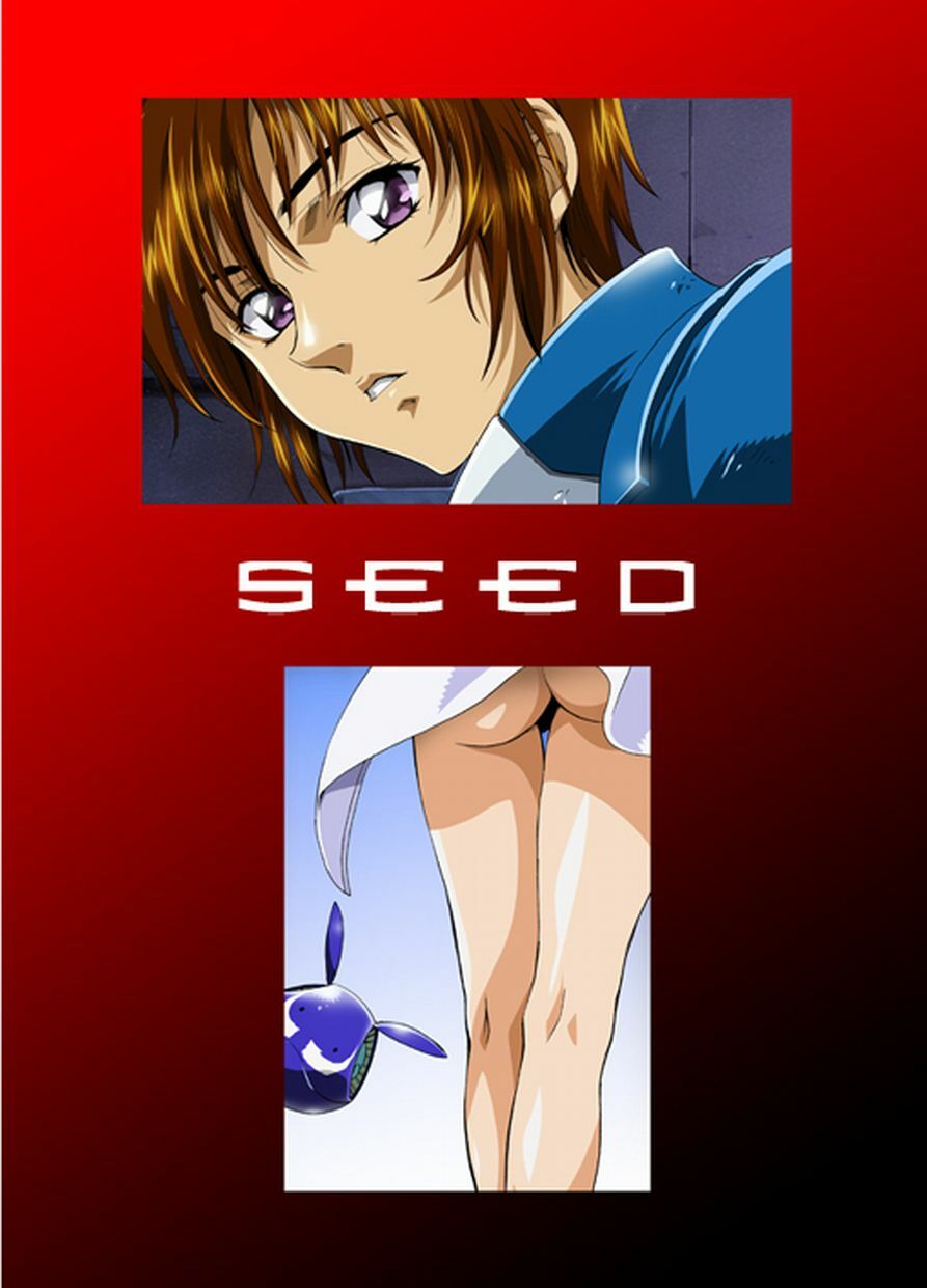 (C66) [HenReiKai (Kawarajima Koh)] Seed Another Century Plus (Gundam SEED) page 2 full