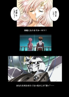 (C66) [HenReiKai (Kawarajima Koh)] Seed Another Century Plus (Gundam SEED) - page 24
