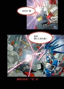 (C66) [HenReiKai (Kawarajima Koh)] Seed Another Century Plus (Gundam SEED) - page 27