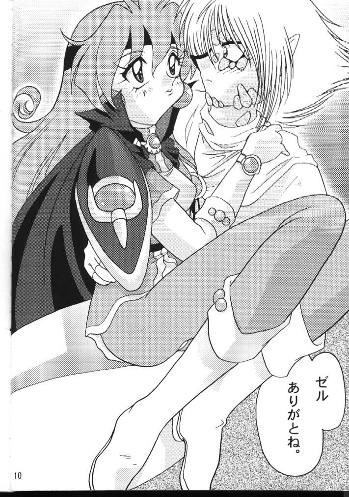 (C54) [Ginmomodou (Mita Satomi)] Slayers Adult 6 (Slayers) page 10 full