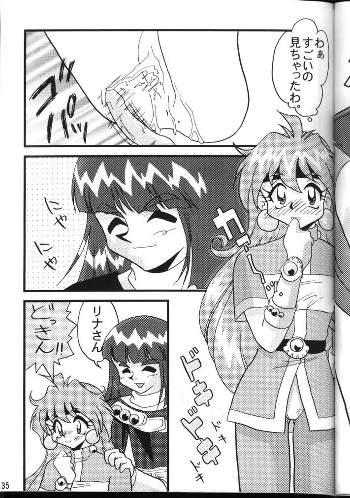 (C54) [Ginmomodou (Mita Satomi)] Slayers Adult 6 (Slayers) page 35 full