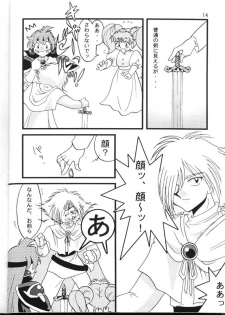 (C54) [Ginmomodou (Mita Satomi)] Slayers Adult 6 (Slayers) - page 14