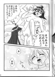(C54) [Ginmomodou (Mita Satomi)] Slayers Adult 6 (Slayers) - page 33