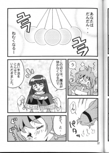 (C54) [Ginmomodou (Mita Satomi)] Slayers Adult 6 (Slayers) - page 37