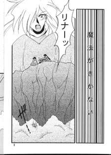 (C54) [Ginmomodou (Mita Satomi)] Slayers Adult 6 (Slayers) - page 8