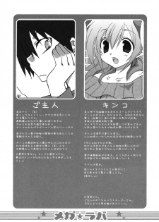 (C73) [TAKANAEDOKO (Takanae Kyourin)] Mega Lover 2 [English] [cowsrkool] - page 3