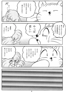 [C-COMPANY] C-COMPANY SPECIAL STAGE 17 (Ranma 1/2, Idol Project) - page 4