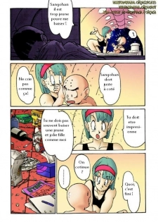 Aim at Planet Namek! (Dragon Ball Z) [French] [Colorized] {Goldorake} - page 5