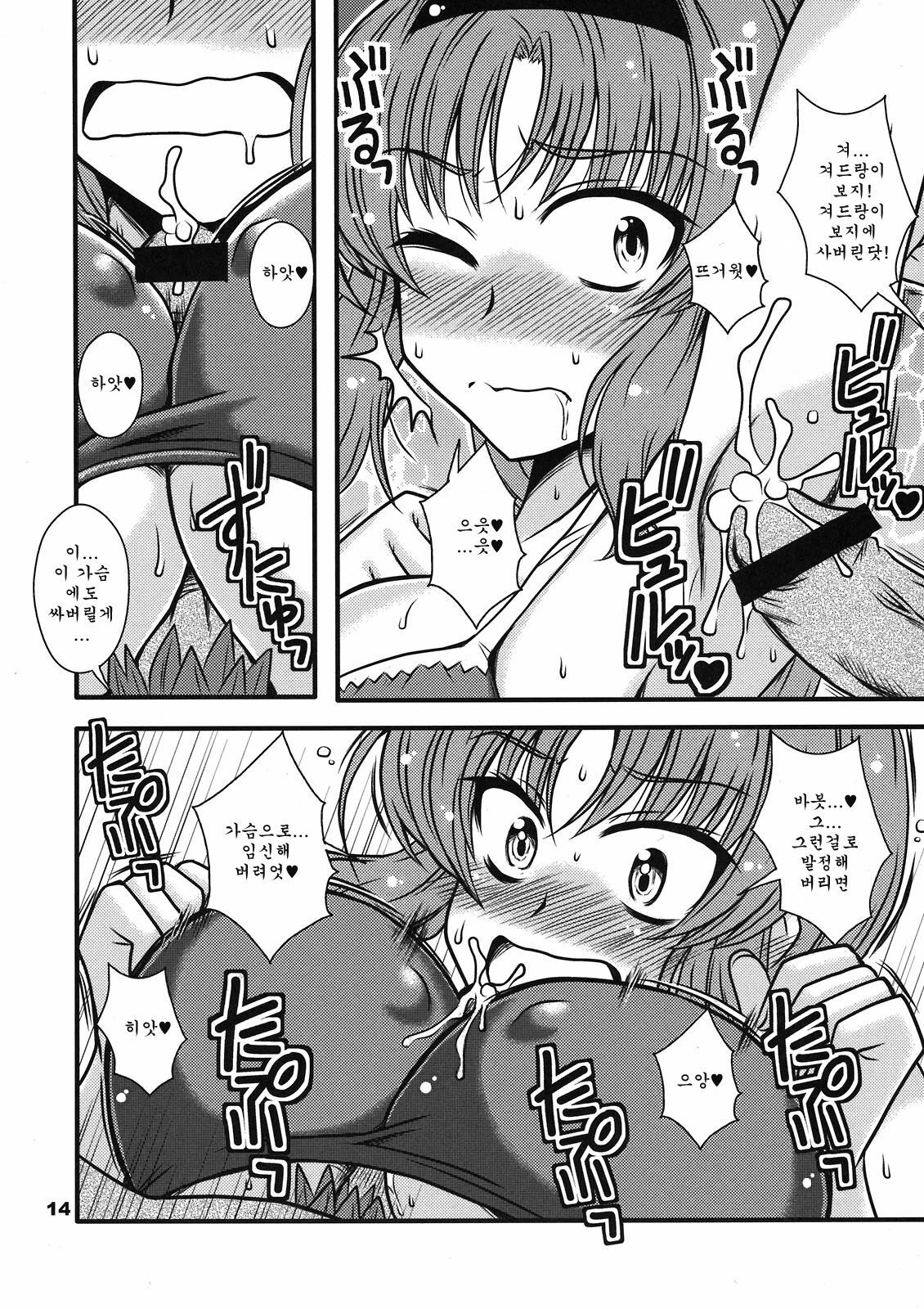 (C80) [BlueMage (Aoi Manabu)] Chuck Boon Frag! (D-Frag!) [Korean] page 14 full