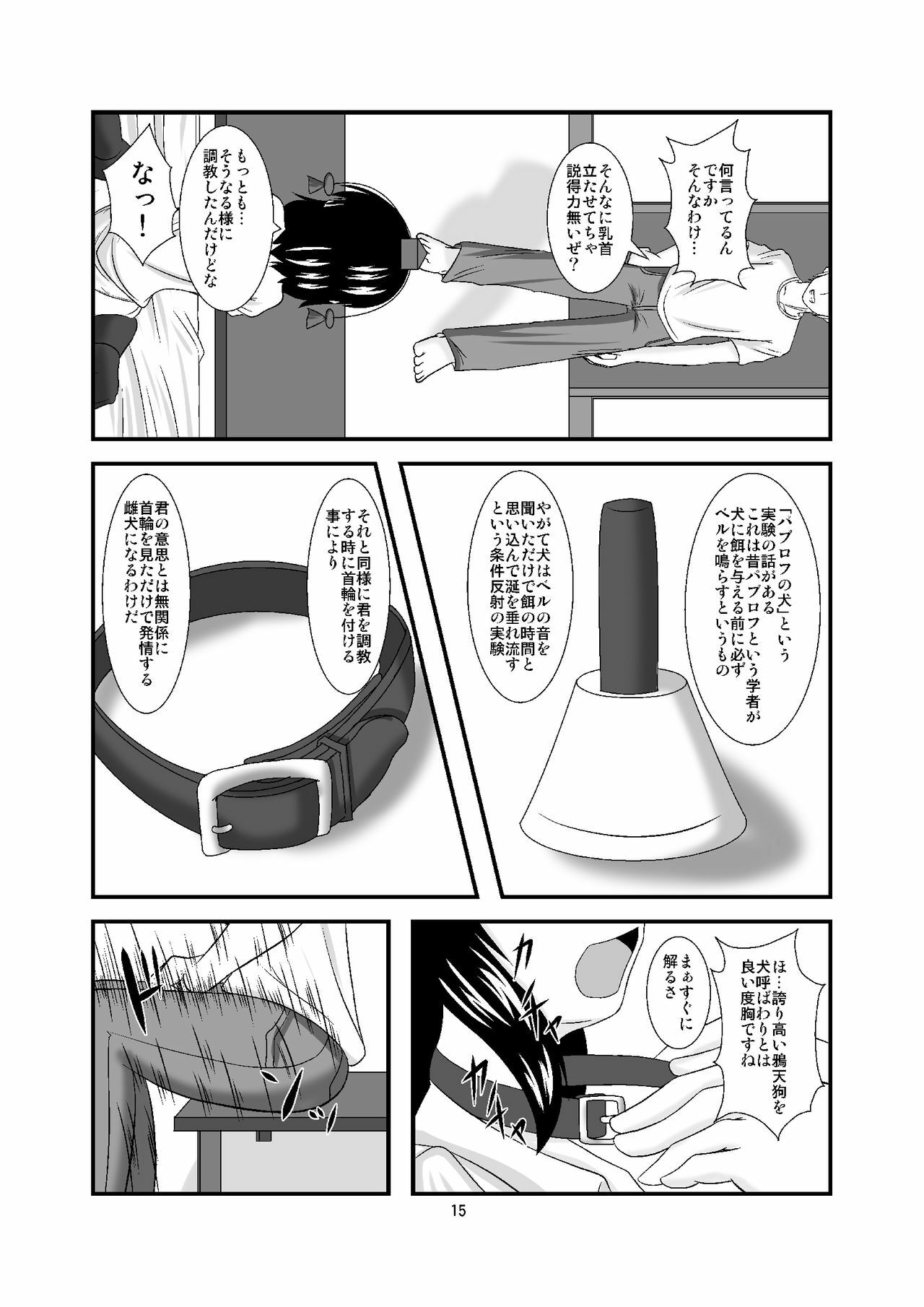 [Endless Requiem (yasha)] Midare Tengu (Touhou Project) [Digital] page 15 full