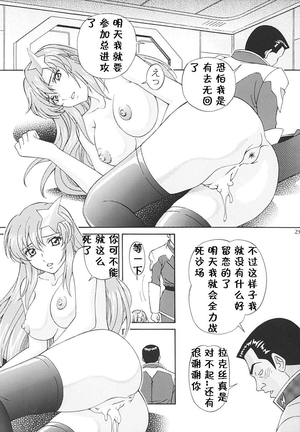 [SHIMEKIRI SANPUNMAE (Tukimi Daifuku)] Ryoujoku MEER (Gundam SEED DESTINY) [Chinese] [黑条汉化] page 22 full