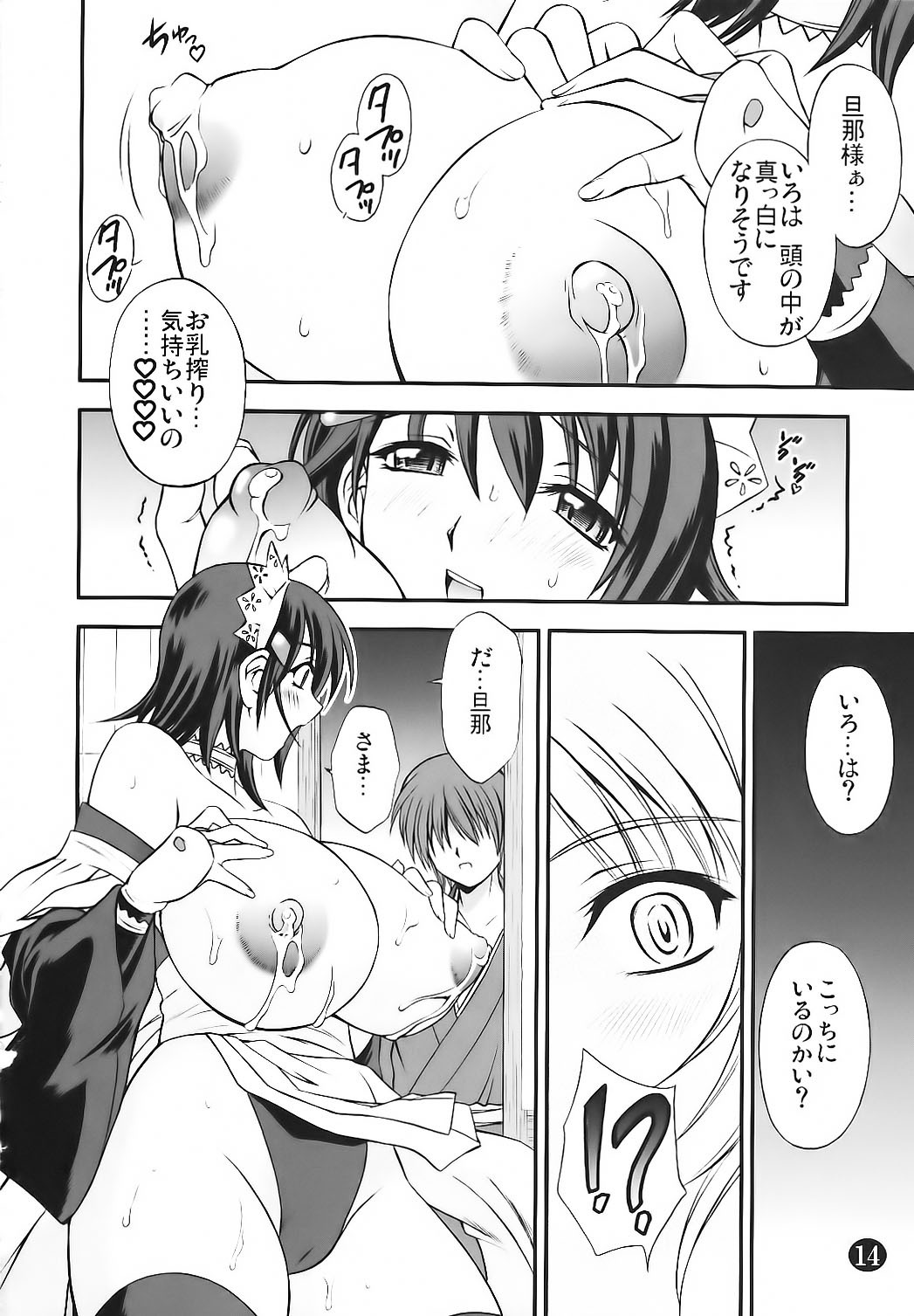 (C80) [Narimasuya (Akiba Wataru)] Irohauta (Samurai Spirits) page 14 full