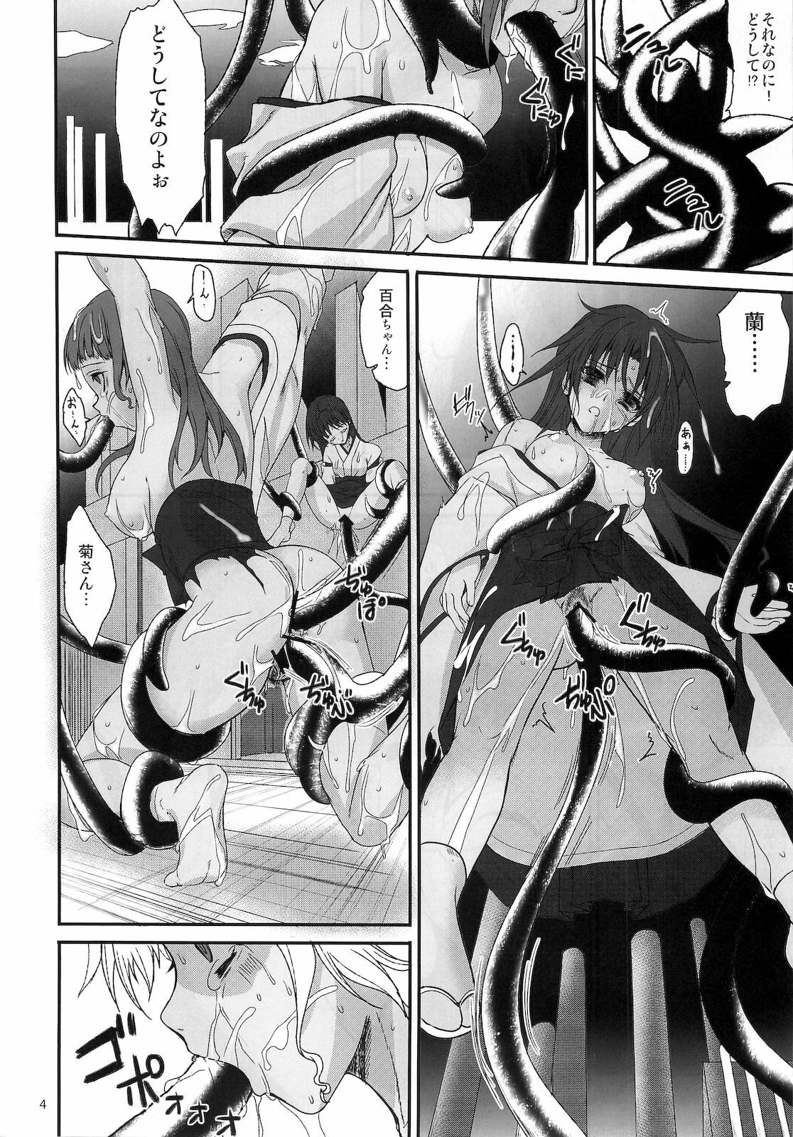 (C79) [Perceptron (Asaga Aoi)] Himemiko Gaiten Getsuda page 3 full